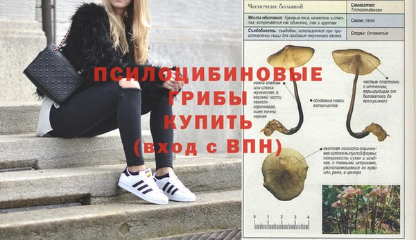 МДПВ Дмитриев