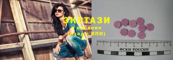 МДПВ Дмитриев