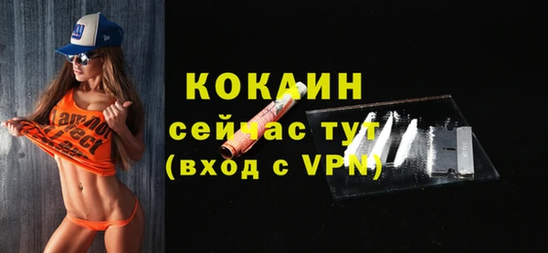 МДПВ Дмитриев