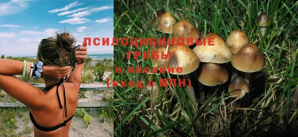 МДПВ Дмитриев