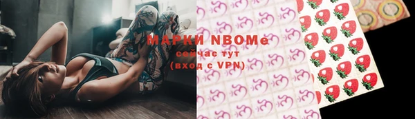 МДПВ Дмитриев