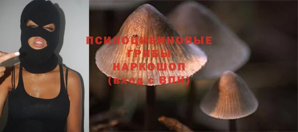 альфа пвп Дмитров