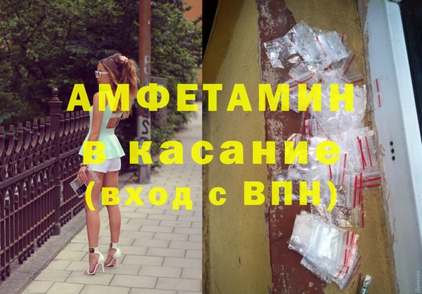 ГАЛЛЮЦИНОГЕННЫЕ ГРИБЫ Гусев