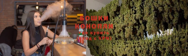 apvp Протвино